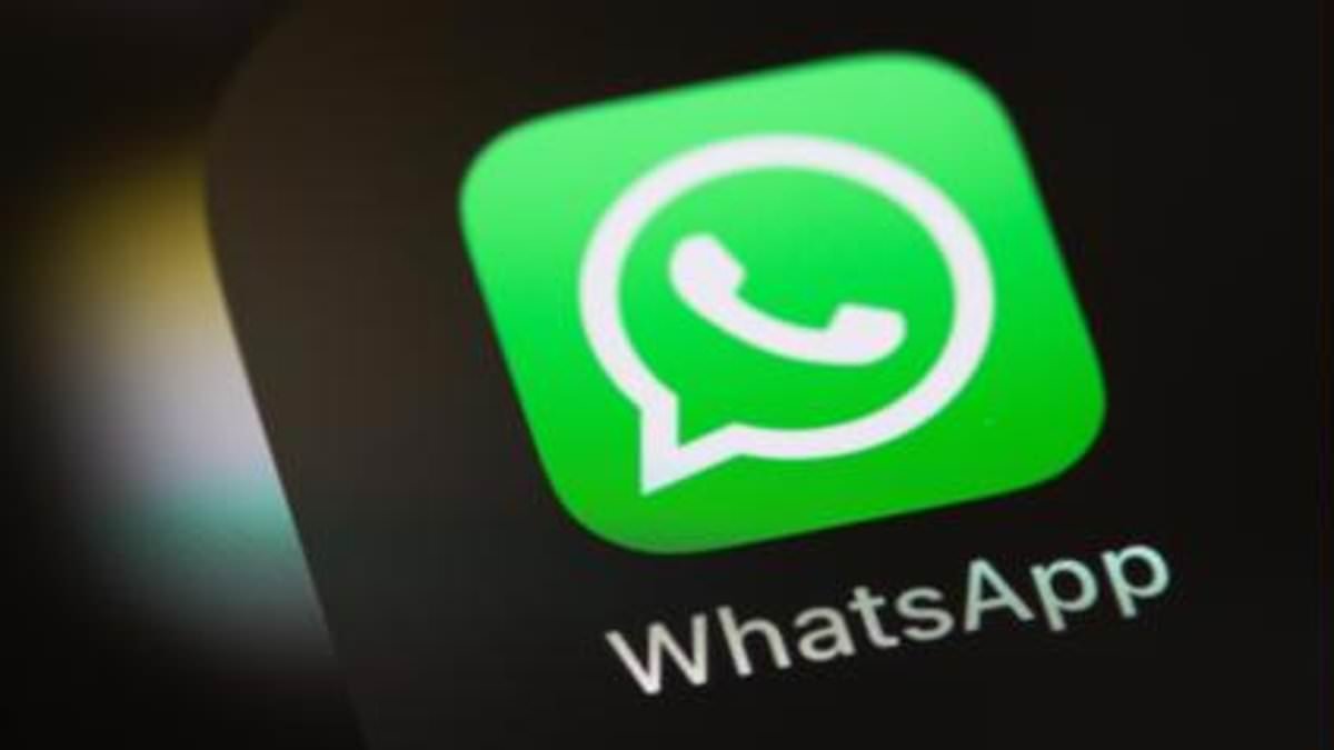 LISA SNELL: Do WhatsApp parents know too much about our kids' school lives?