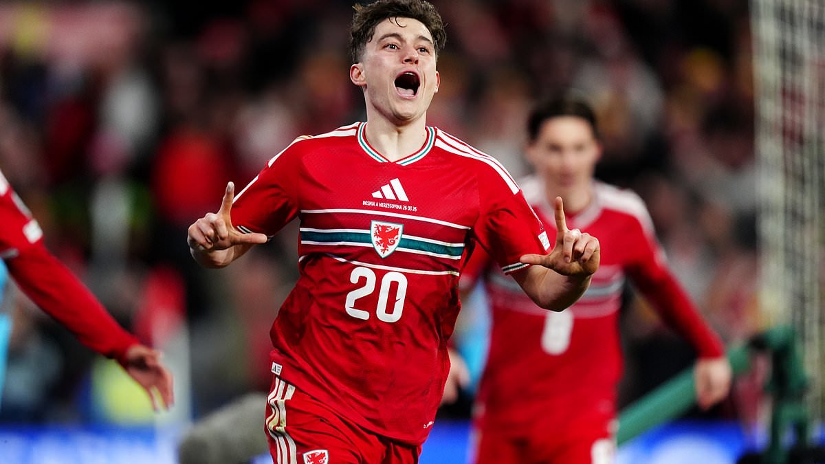 World Cup play-offs LIVE: Latest score and updates as Dan James scores stunner for Wales vs Bosnia, Sandro Tonali breaks Northern Ireland's staunch defence while Republic of Ireland lead in Prague
