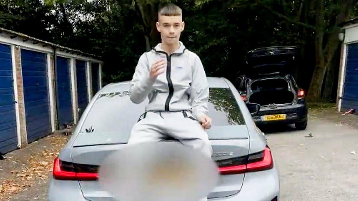 Idiot car thieves are jailed after posting online videos of themselves breaking into houses and pulling doughnuts in stolen motors in £2m theft spree