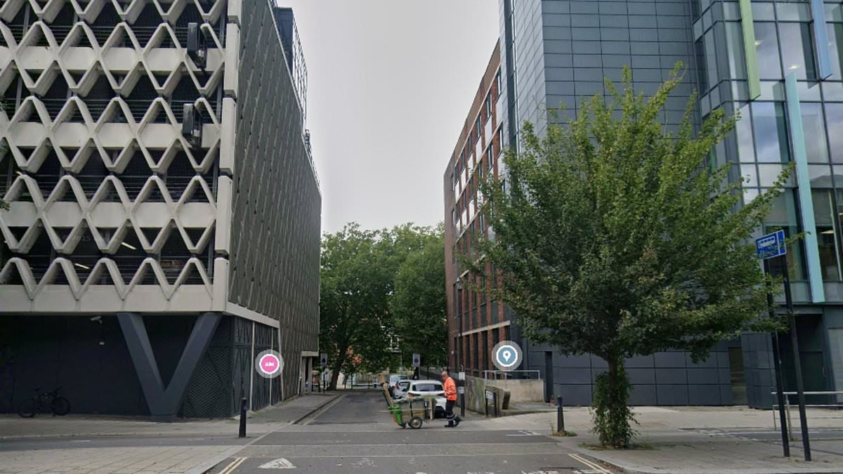 Police step up patrols after woman was raped in Bristol city centre attack - as images of four men wanted are shared