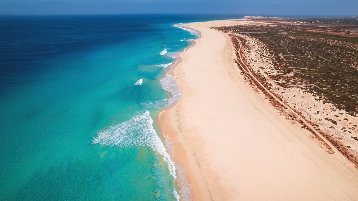 As health chiefs warn against travel to Cape Verde, this is all you need to know about shigella, the 'tummy bug' that causes bloody diarrhoea that has been linked to six holidaymaker deaths