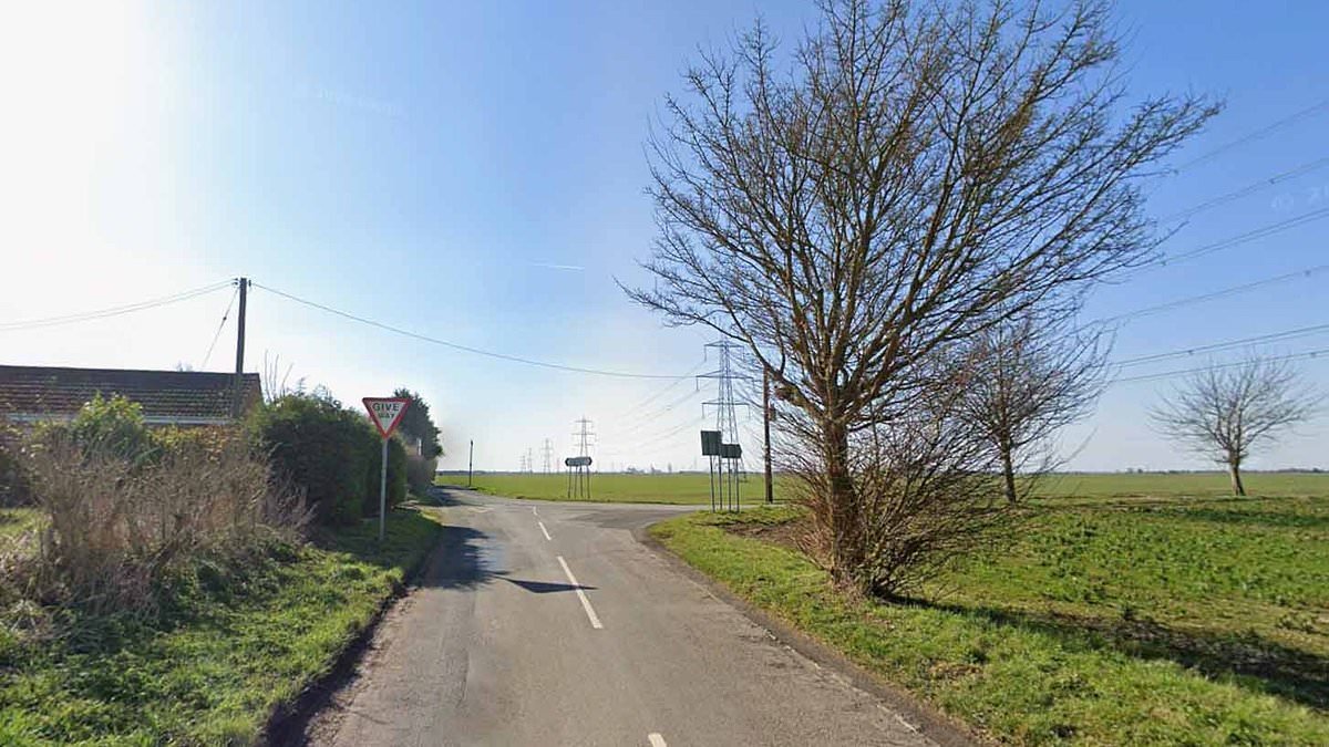 Schoolgirl, 13, and two men aged 44 and 48 are killed after car collides into a tree - as girl, 15, is in critical condition