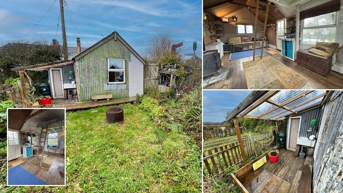 Cornwall shed once owned by author Catrina Davies going under the hammer for £100k