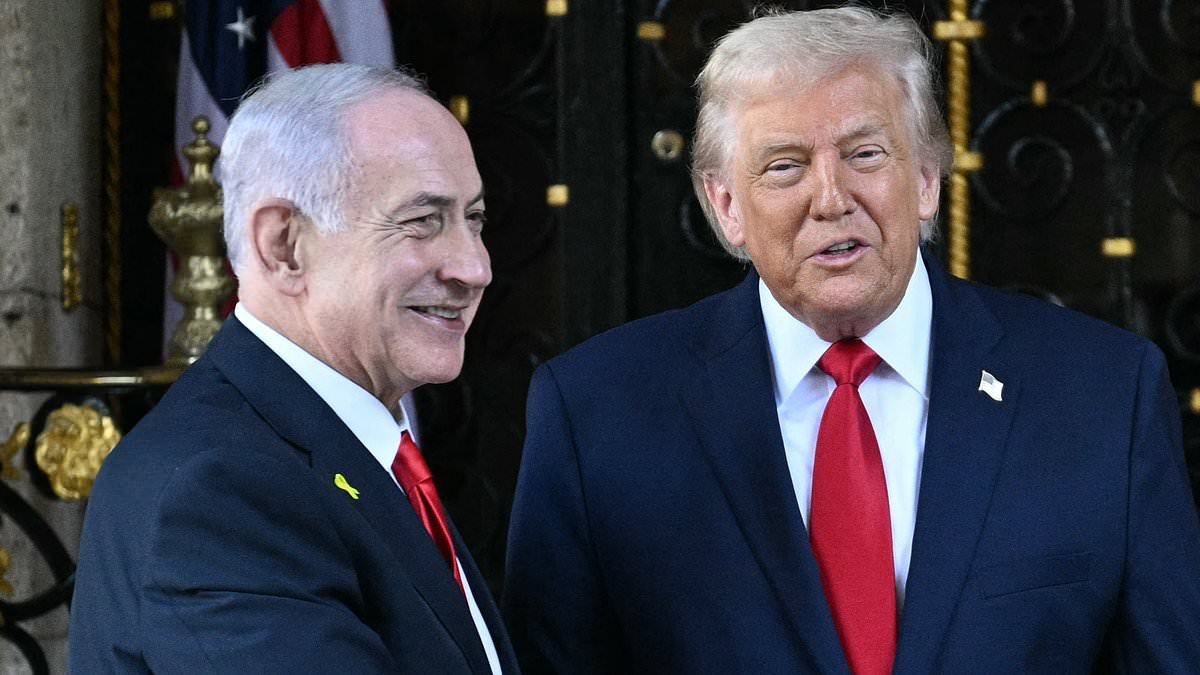 Netanyahu praises Trump for 'perfectly executed' mission after rescue of downed pilot