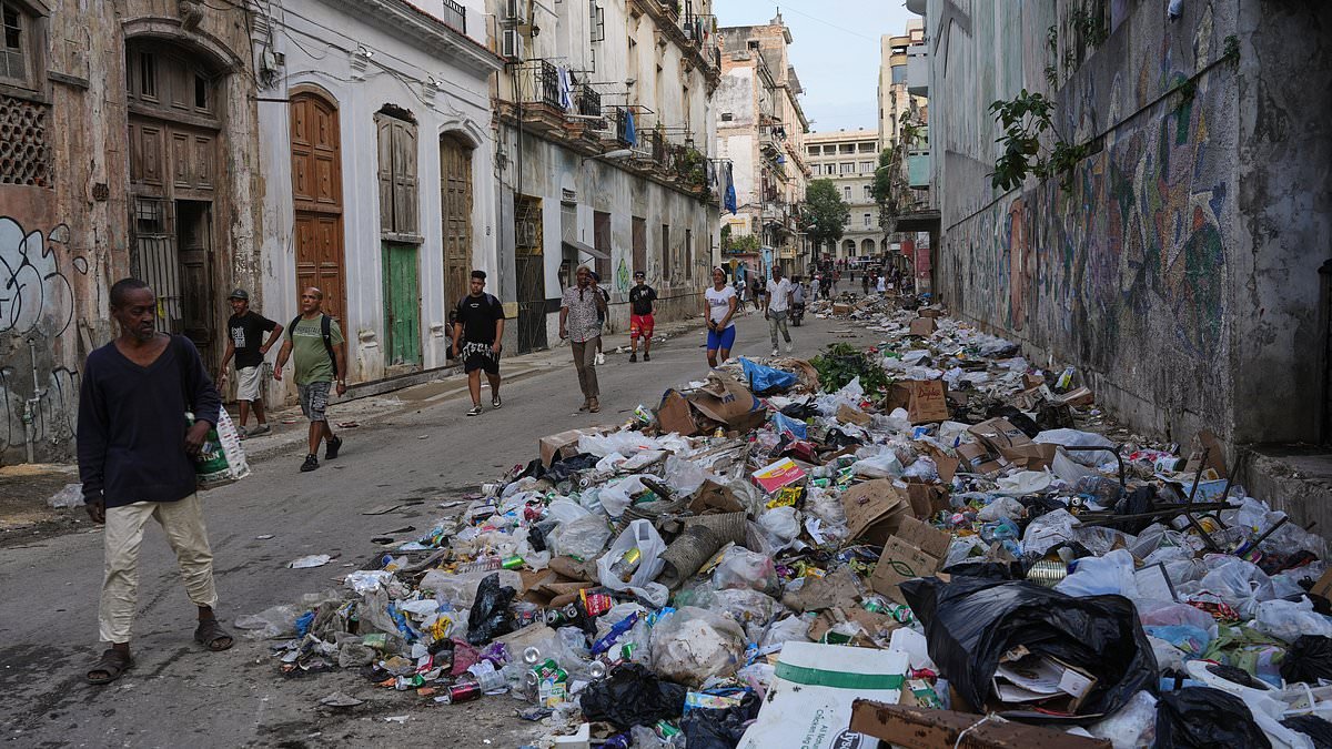 Food shortages, power cuts, rubbish piled in the streets and people fleeing. Welcome to Britain's future... and I know exactly what's to blame: RICHARD LITTLEJOHN