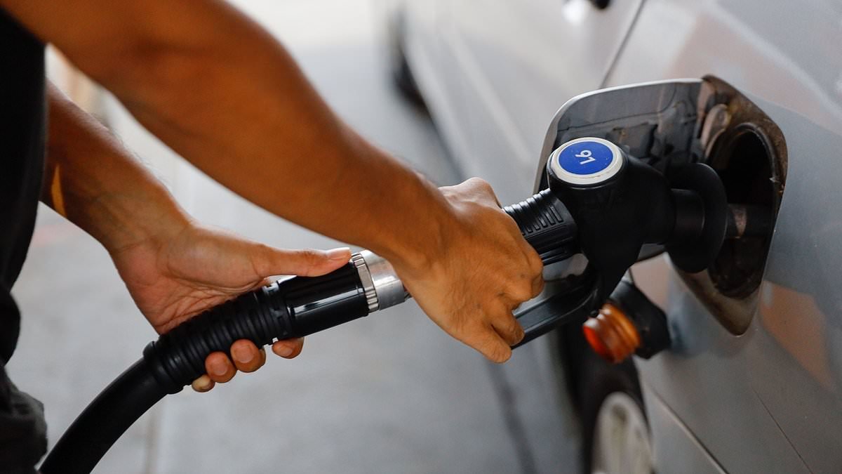 The Morning Poll: Will you look for alternative transport due to concerns about petrol prices?