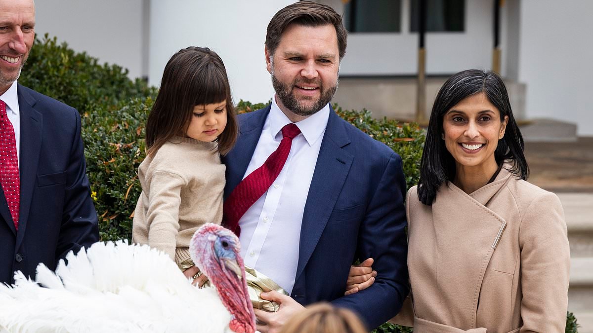 Secret Service pounce on hammer-wielding maniac accused of breaking into JD Vance's $1.4m mansion