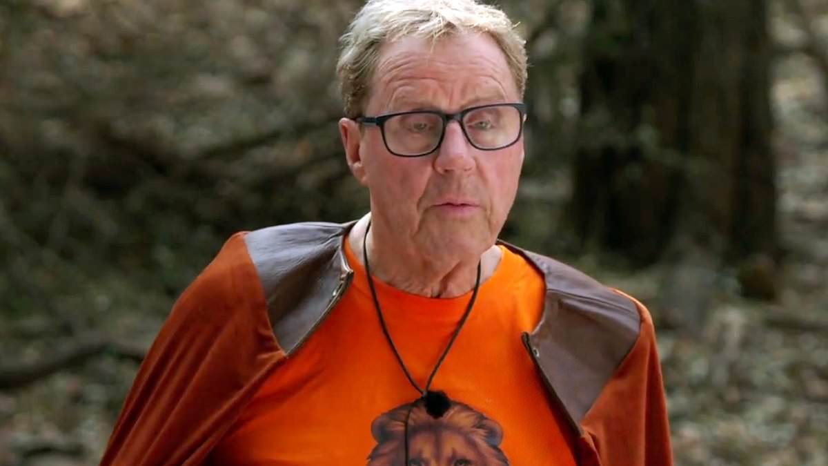 Harry Redknapp reveals the truth behind his awkward I'm A Celebrity blunder with Seann Walsh, joking 'he will hate me' after sending co-star home from ITV show - and the real reason he avoided axing David Haye