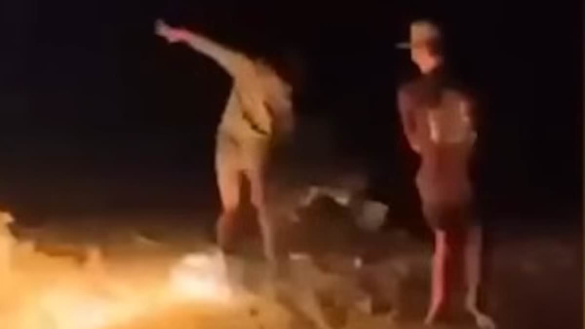 Terrifying moment Florida teenager lights his friend on fire during booze-filled lake hangout