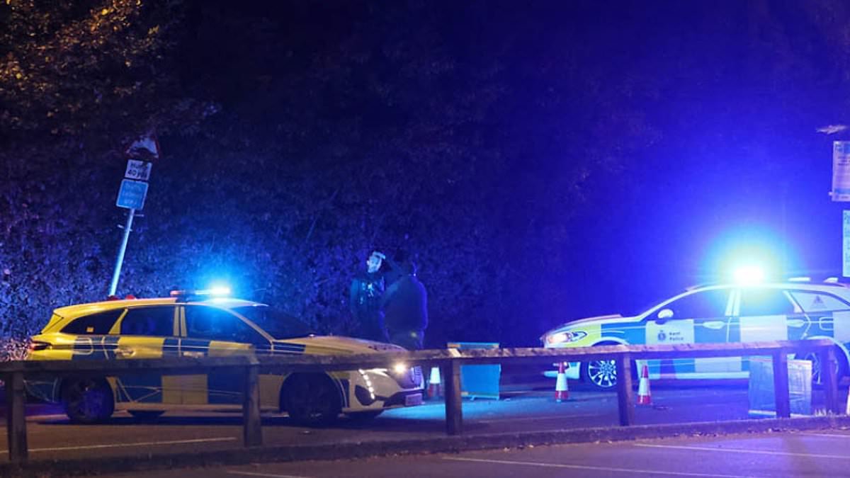 Young girl and man are killed and woman is fighting for her life after tipper truck ploughs into pony and trap in Kent