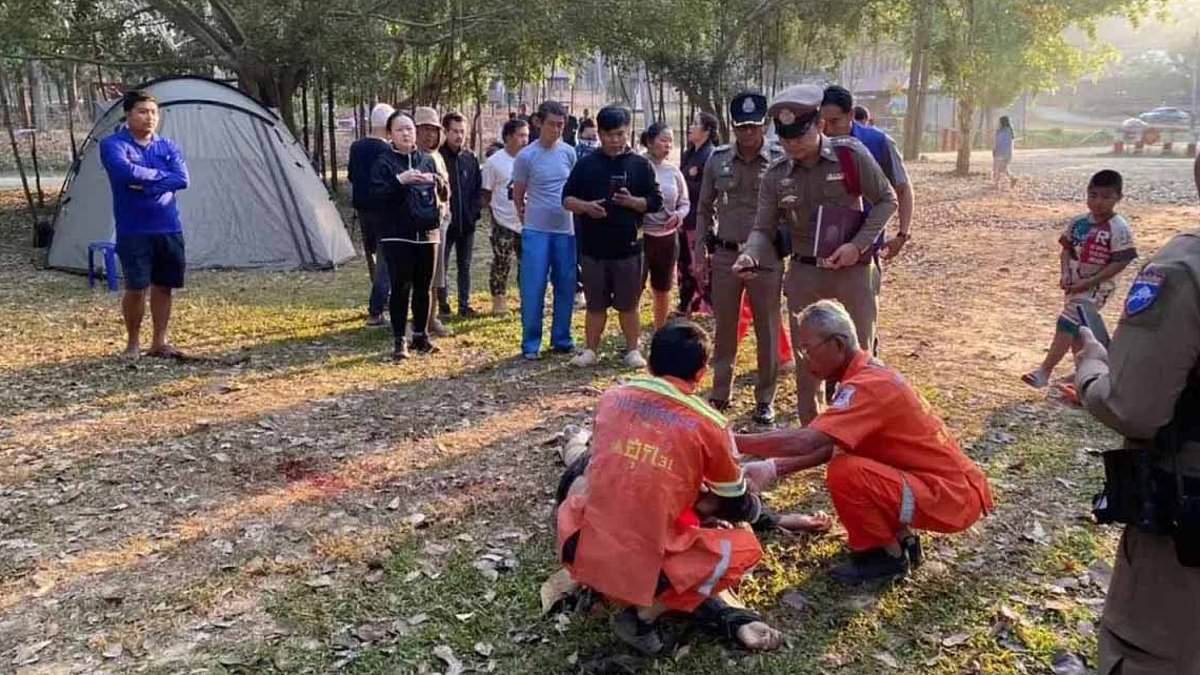 Elephant picks up tourist with its trunk before trampling him to death in front of his wife at Thai campsite in third killing by same rogue animal