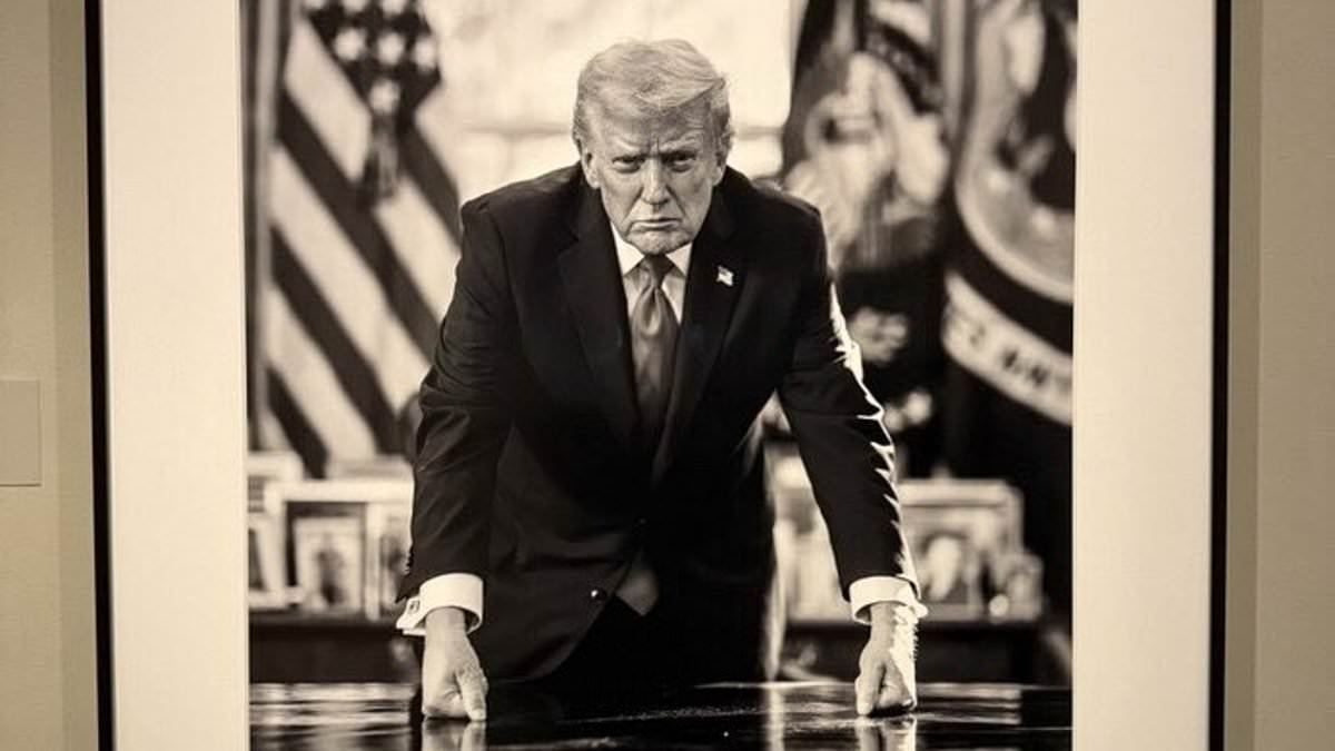 Trump unveils dramatic new black-and-white portrait hung in Smithsonian to 'cover up' 31-word message that 'annoyed him'