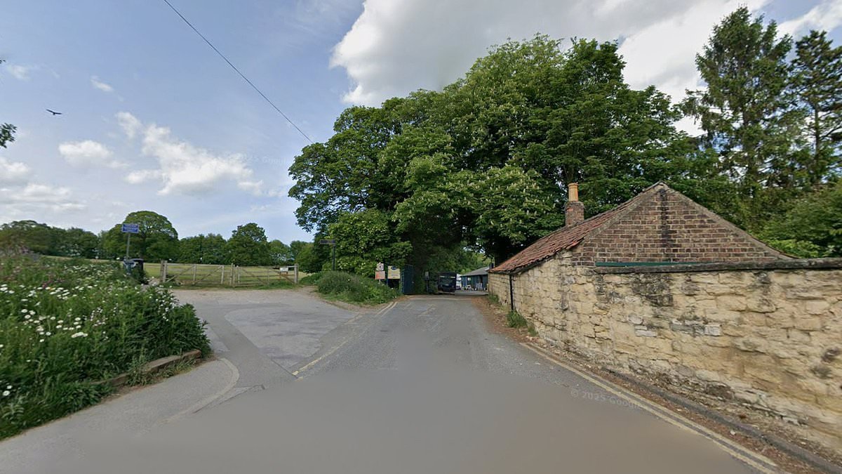 Woman is raped in quiet town as police launch urgent hunt to find suspect