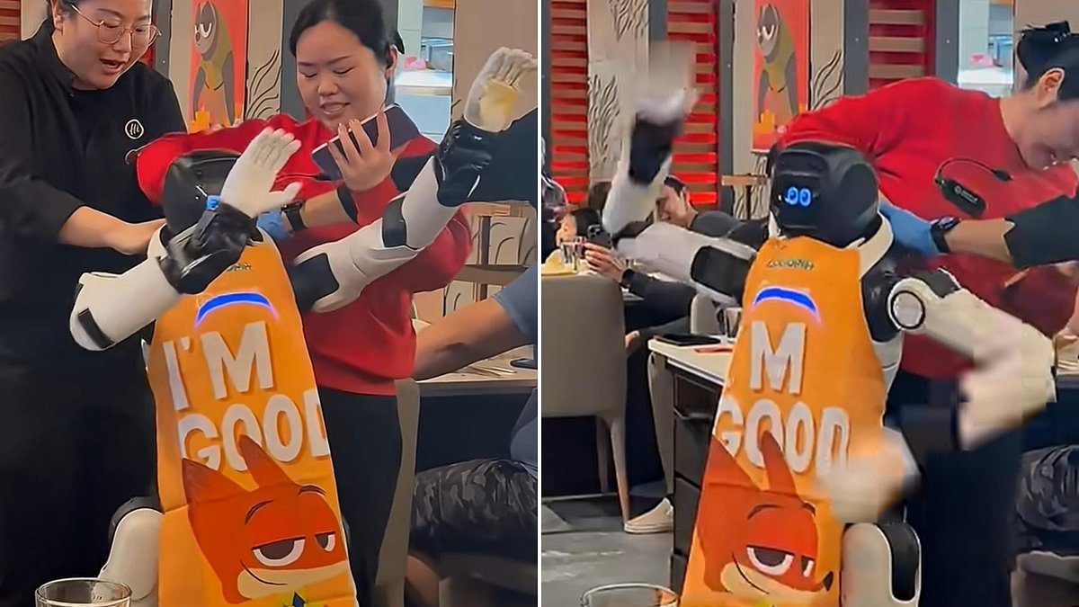 Robot goes BERSERK at a restaurant in California as desperate staff try to drag it away from customers - as one viewer asks 'why isn't there a big red power off button?'