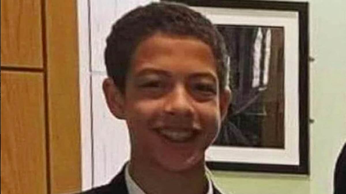 Witness saw Noah Donohoe's bike and helmet lying on footpath before missing schoolboy found dead in a storm drain, inquest hears