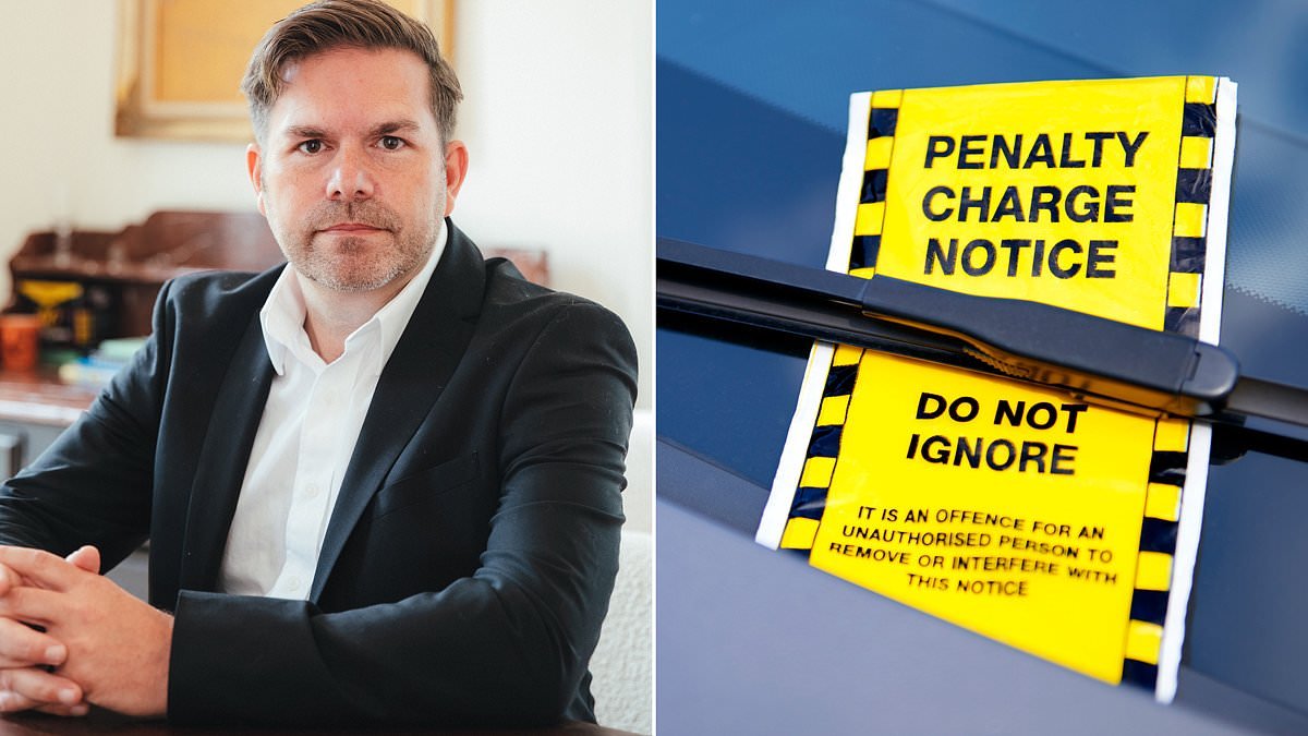I spent £50 successfully proving my parking ticket was unfair. Can I get my expenses back? DEAN DUNHAM replies
