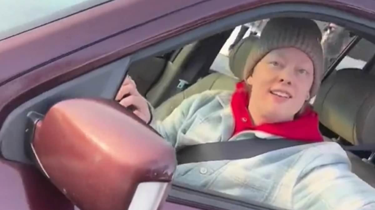 ICE agent was 'remarkably' calm while being 'antagonised' by mother-of-three before shooting, expert says