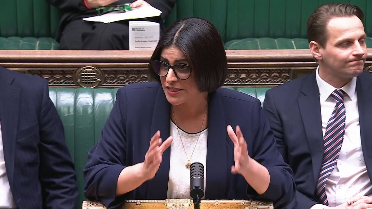 Home Office blasted over vetting fears and lack of public consultation as migrants moved out of hotels into rural areas