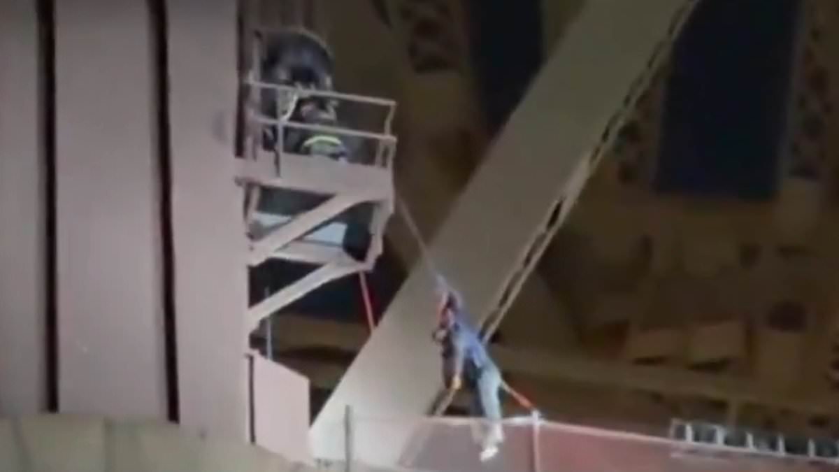 Teen plunges 50 feet down bridge shaft after performing dangerous TikTok stunt