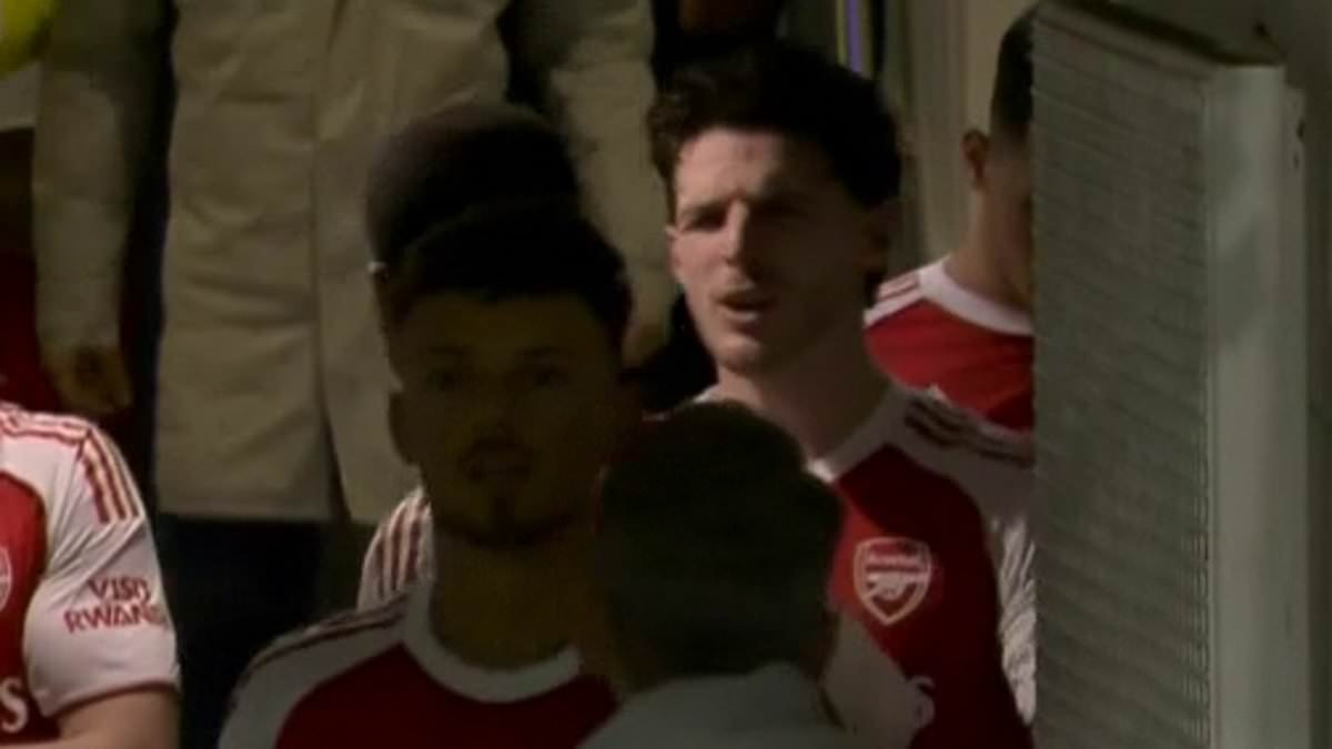 'He doesn't know what the hell he's on about!': Expert lip-reader reveals what Declan Rice said to Arsenal coach 'AirPod Albert' in hidden tunnel row - and how Gabriel tried to step in