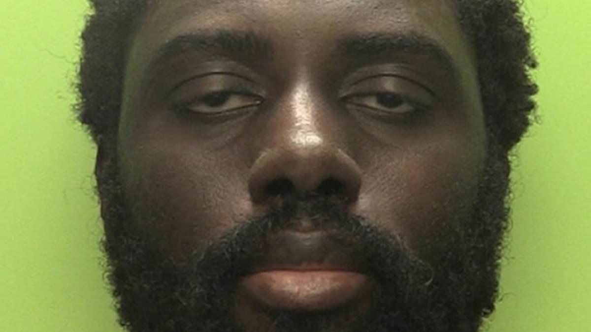 Woman who jumped out of window to flee Nottingham triple killer told by police he could not go to jail because he was schizophrenic, inquiry told