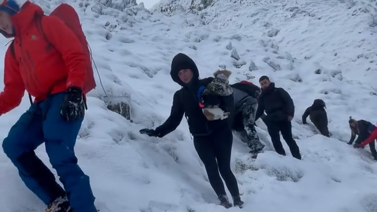 Moment teenage ice climbers rescue woefully underprepared adult hikers in jeans and trainers from icy mountain