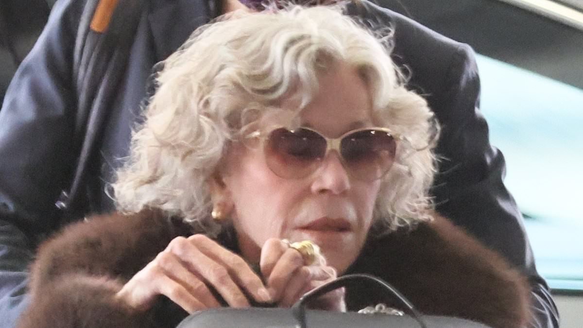 Jane Fonda, 88, is pushed in wheelchair at airport after Reiner murders left her 'reeling'