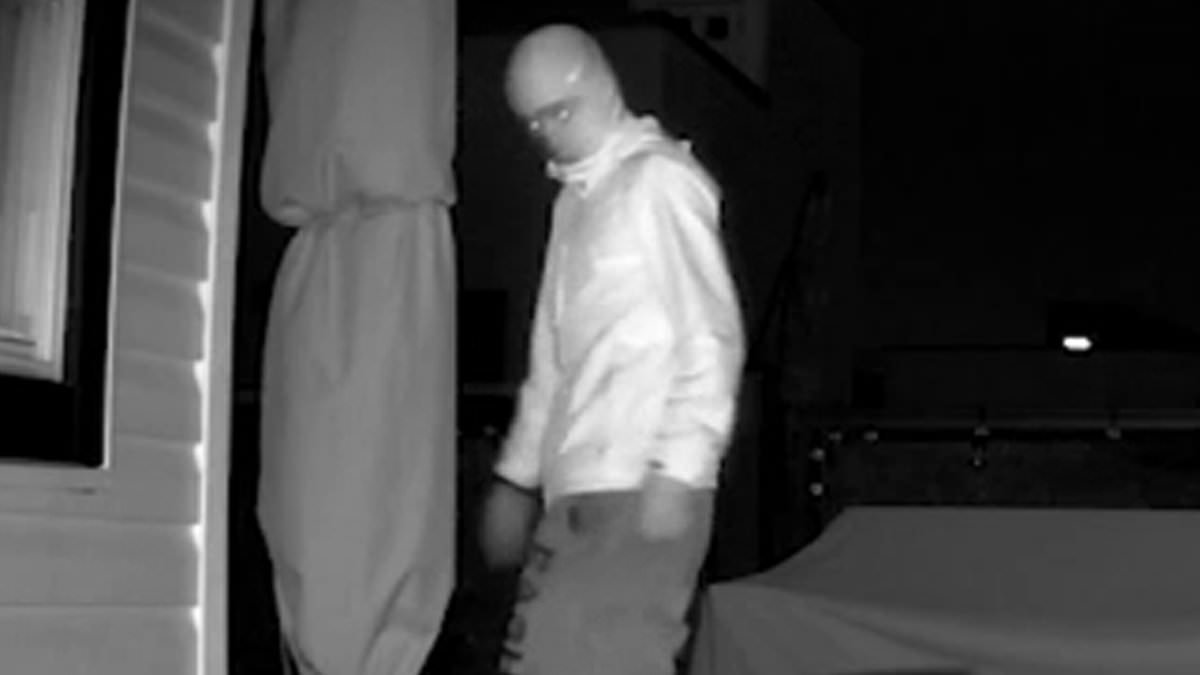 Woman checked night camera for raccoons then saw every homeowner's worst nightmare STARING back at her