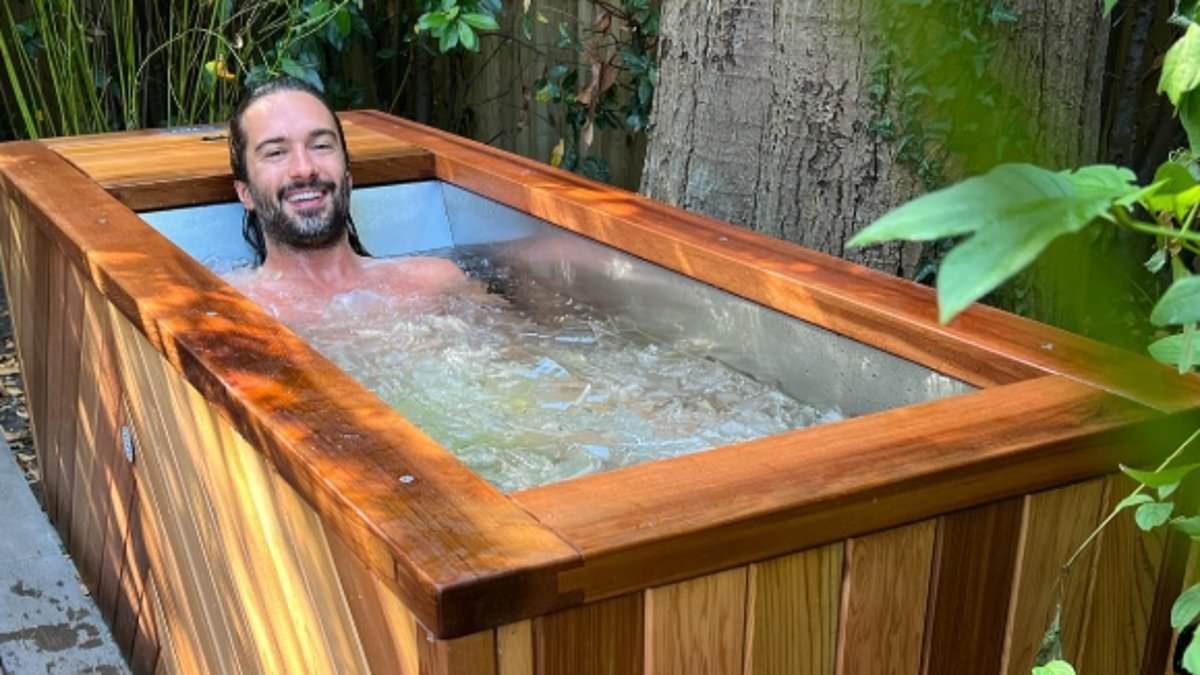 Rise of the spa-den! Celebrities spark increase in backyard 'wellness suites' amongst middle classes (but inflatable hot tubs are banned)