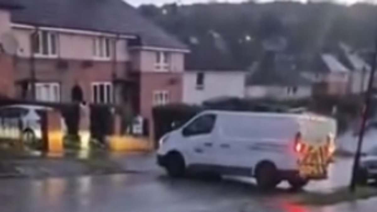 Moment van careers down road and crashes into parked cars while sliding on black ice as Storm Goretti brings travel chaos to Britain