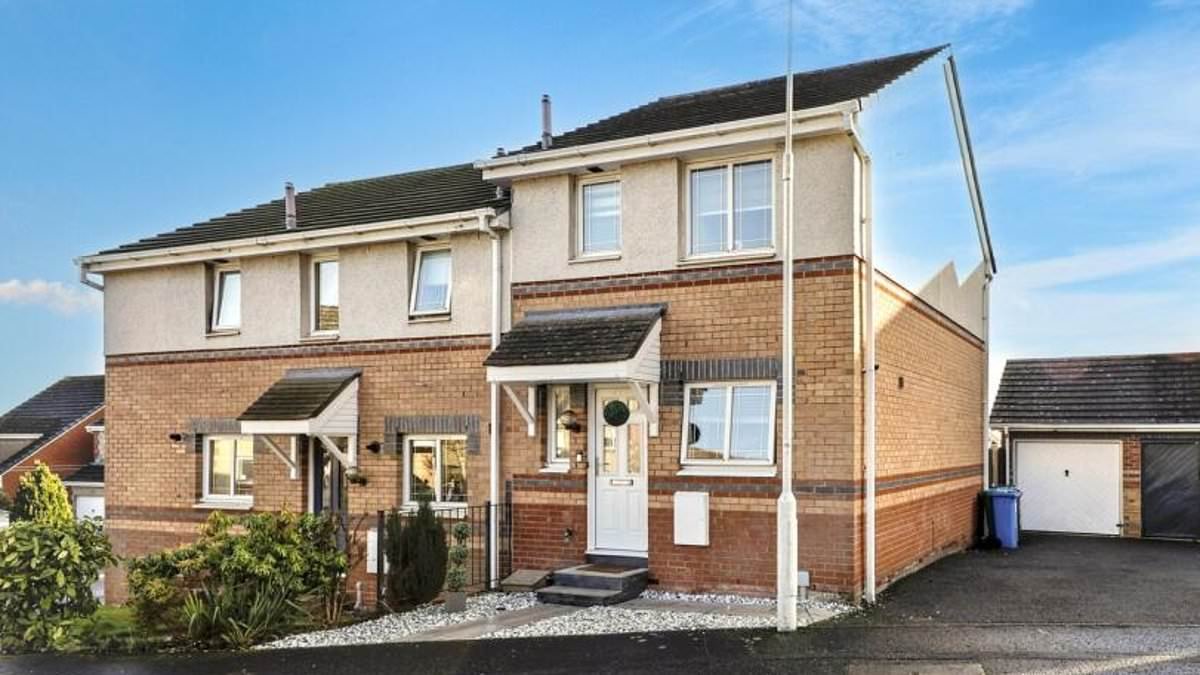 Househunters mock 'AI-edited' photos of £210k home with bulging cupboards and walls replaced with blue skies