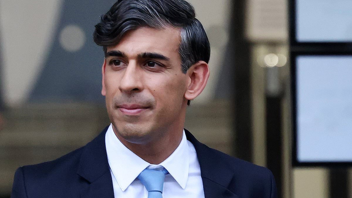 Rishi Sunak's new job with a California-based AI firm is earning him £373,000 (for just 70 hours work) - with ex-PM donating sum to charity