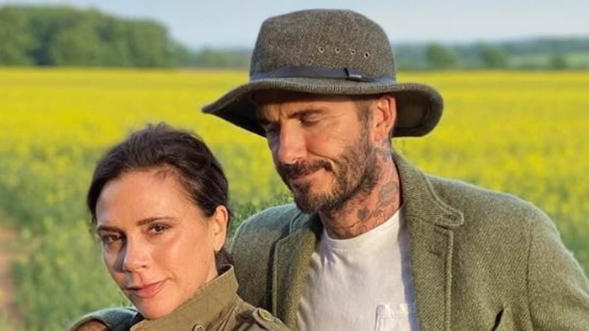 Neighbours accuse David and Victoria Beckham of trying to install 'Blackpool-style' LED illuminations at £12million Cotswolds home