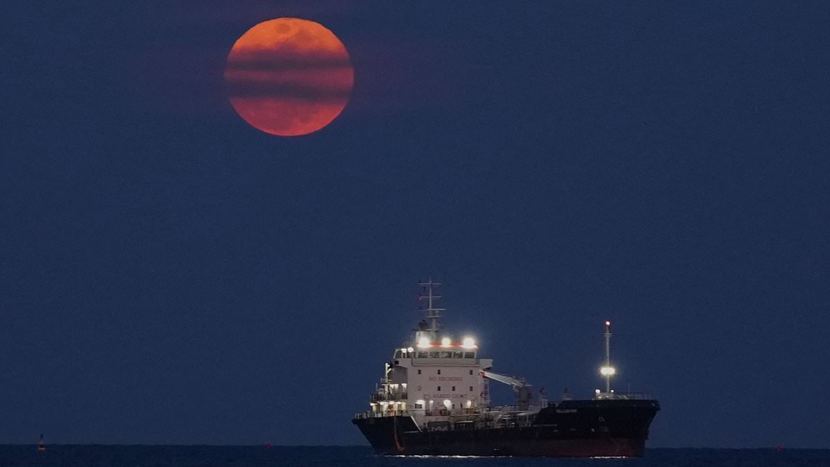 See all the best photos of tonight's rare Blood Moon: Incredible lunar eclipse impresses masses across the globe