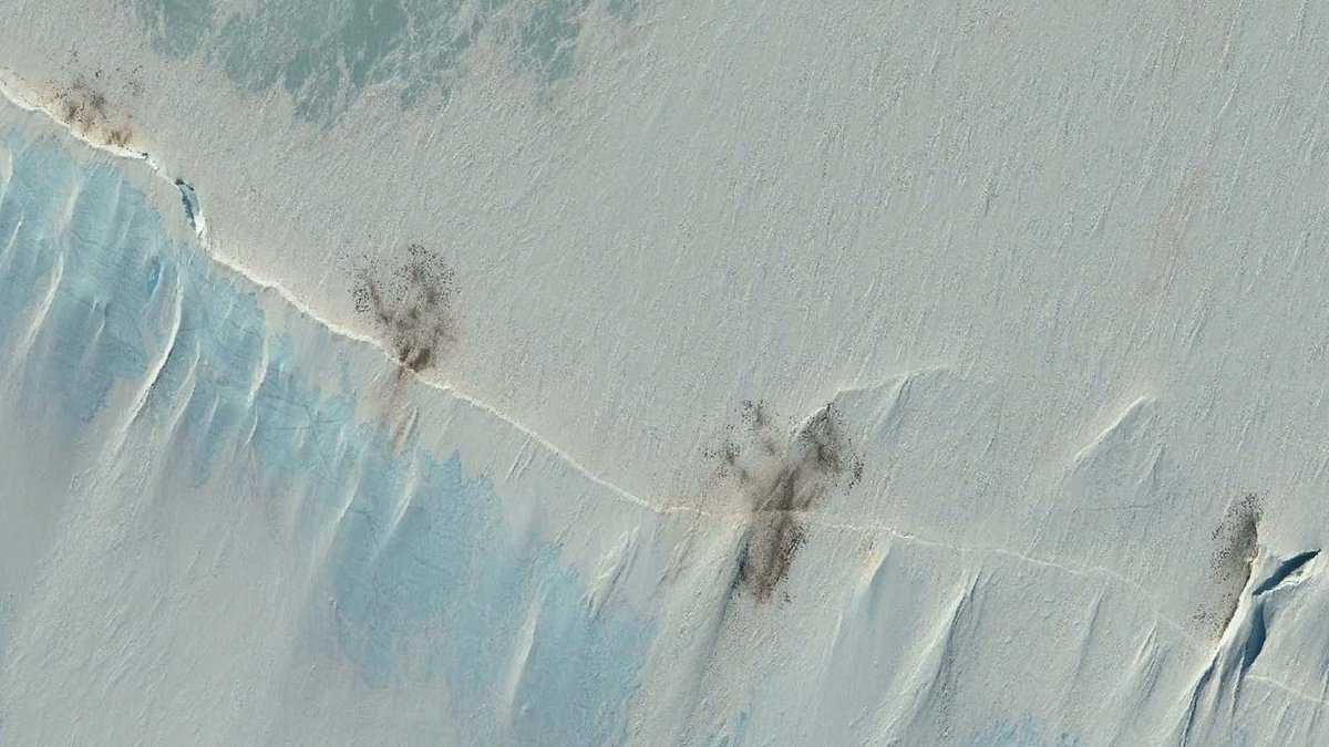 Emperor penguins are on the pathway to EXTINCTION: Satellite images reveal how shrinking sea ice is forcing birds into crowded groups - with potentially 'catastrophic' consequences