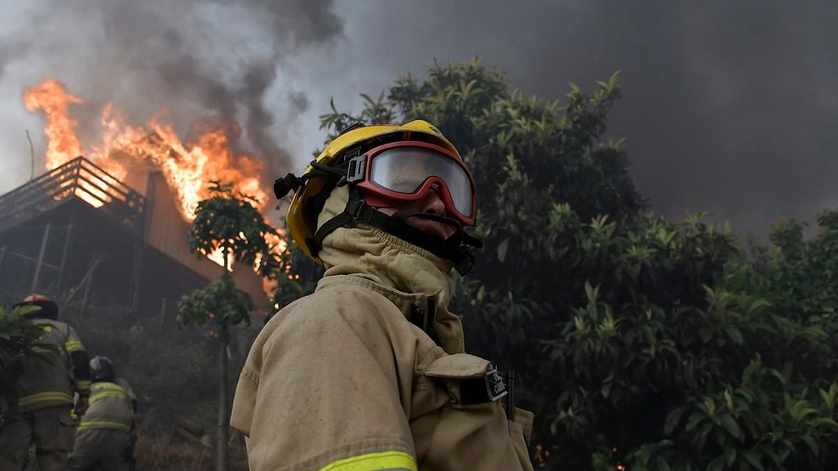 Chile declares a state of emergency as deadly wildfires burn out of control - seeing more than 50,000 forced to evacuate