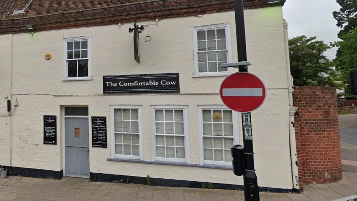 Manhunt for balaclava-clad knifemen after pubgoer is stabbed in beer garden