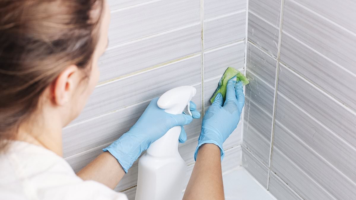 My cleaner tripped in the bath at my flat - can she make a claim against me?