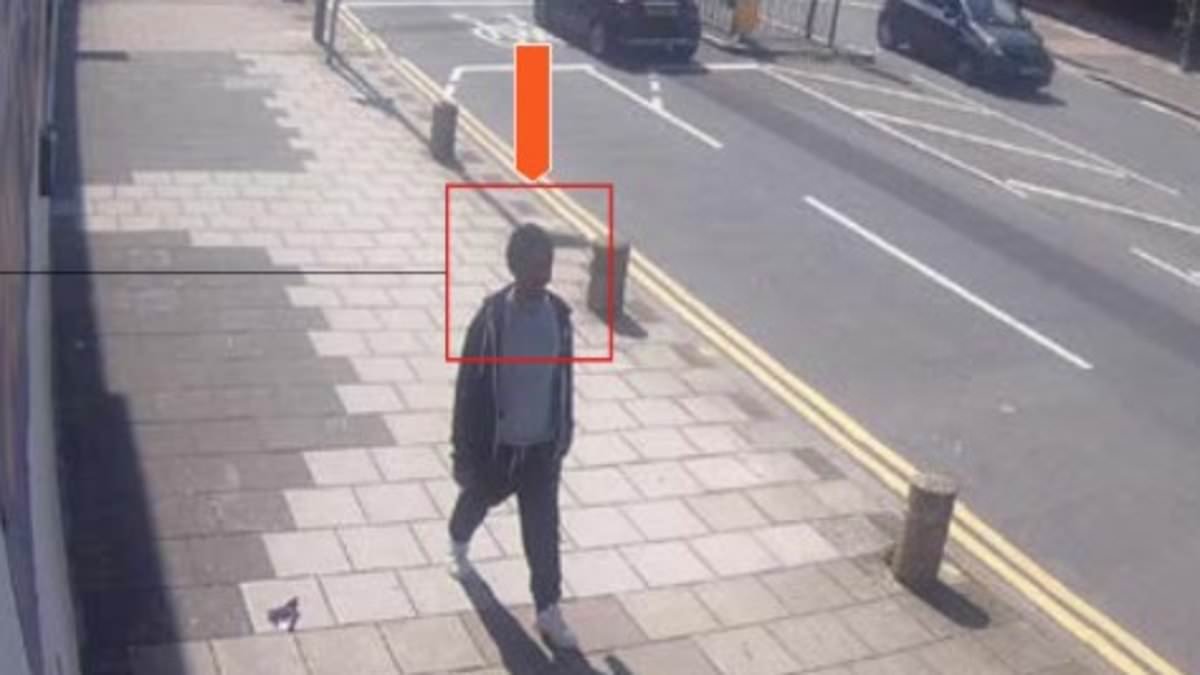 Gore video fanatic watched footage of beheadings in days before he 'stabbed grandmother to death at a bus stop', court hears