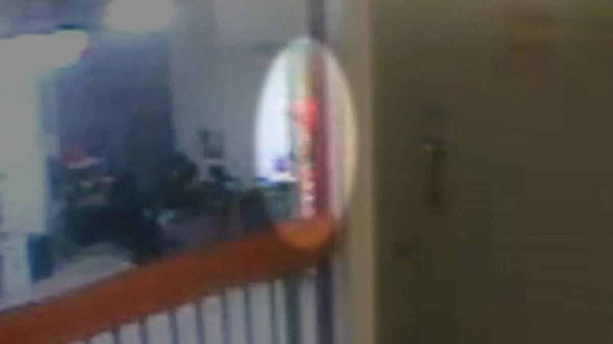 Mystery inmate entered Epstein's prison area on the night he died - new files contradict official account