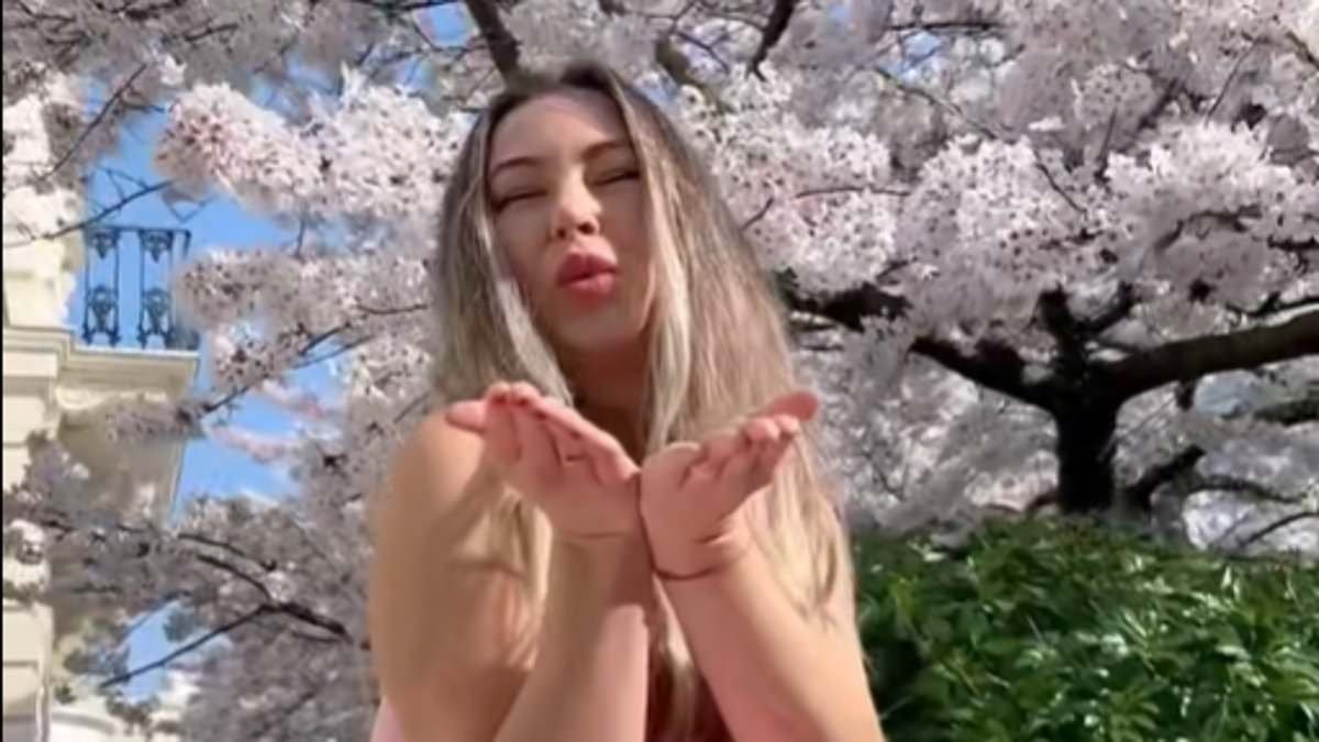 Cherry blossom chaos: Picturesque crescent in Notting Hill is overrun by influencers climbing up garden walls and queueing down the street to take pictures under their blooming trees