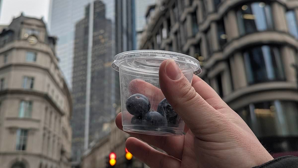 Upmarket London cafe criticised for 'disgusting' £1.50 price tag for pot of six blueberries