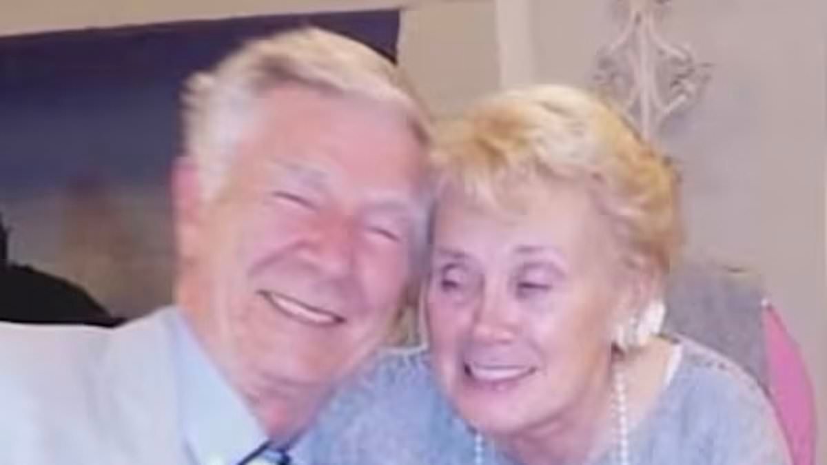 Police officer who killed a pensioner while responding to 999 call is jailed - despite plea by victim's family