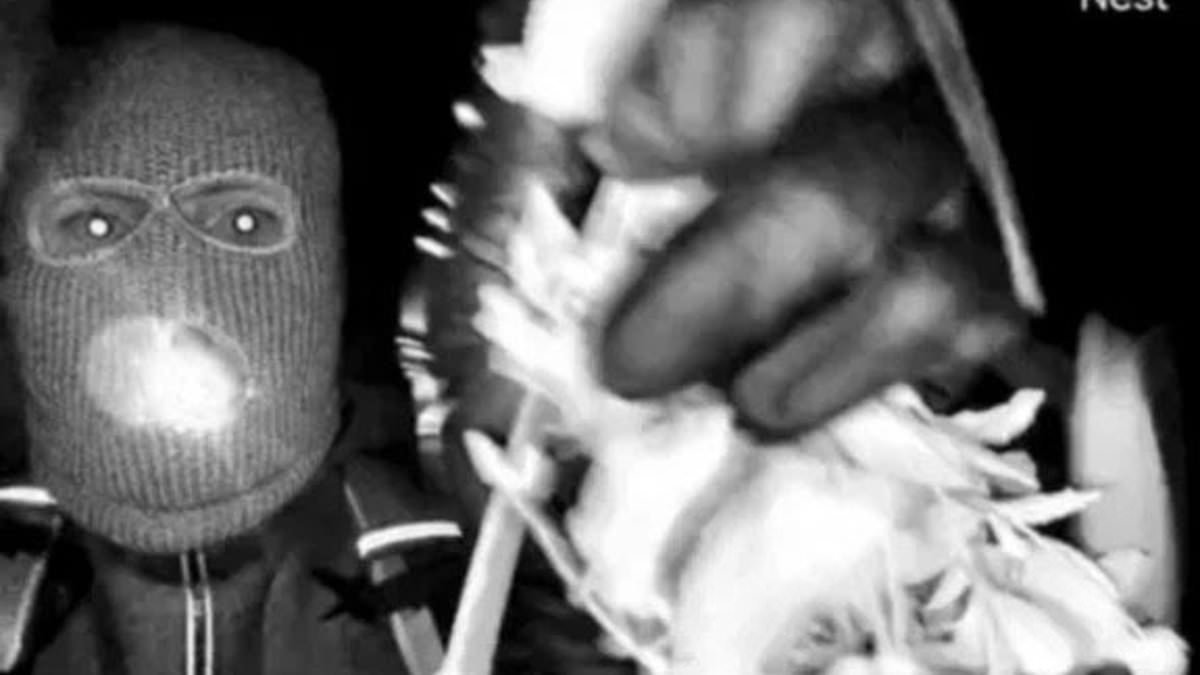 Chilling footage of Nancy Guthrie's kidnapper revealed more than anyone realized