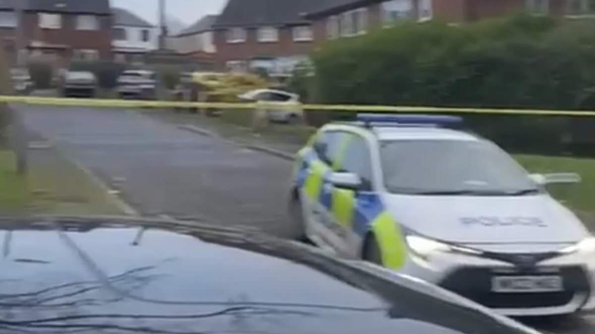 Schoolgirl, 10, is rushed to hospital 'with life-changing injuries' after dog attack: Two animals seized