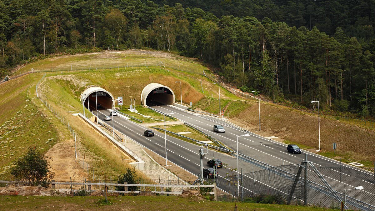Girl, seven, and woman, 43, are killed in crash near tunnel in Surrey