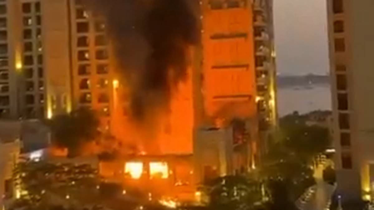 Revealed: The Brit flight attendant who posted an airport drone attack photo and the London tourist who pictured an airstrike both now facing up to two years in UAE jail for 'cyber crimes'