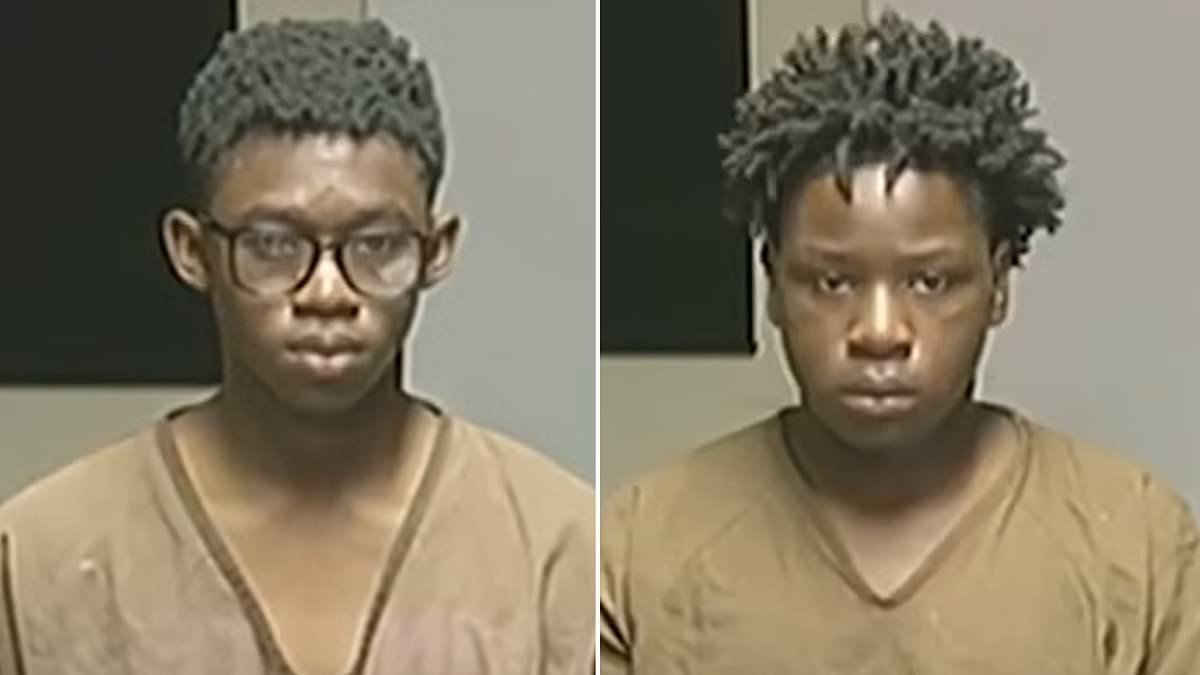 Baby faced boys aged 12 and 13 appear in court charged with raping girl, 12, who had rocks stuffed in her mouth to silence her