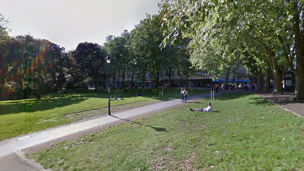Woman 'is raped in broad daylight attack at Bristol park': Man in his 30s arrested