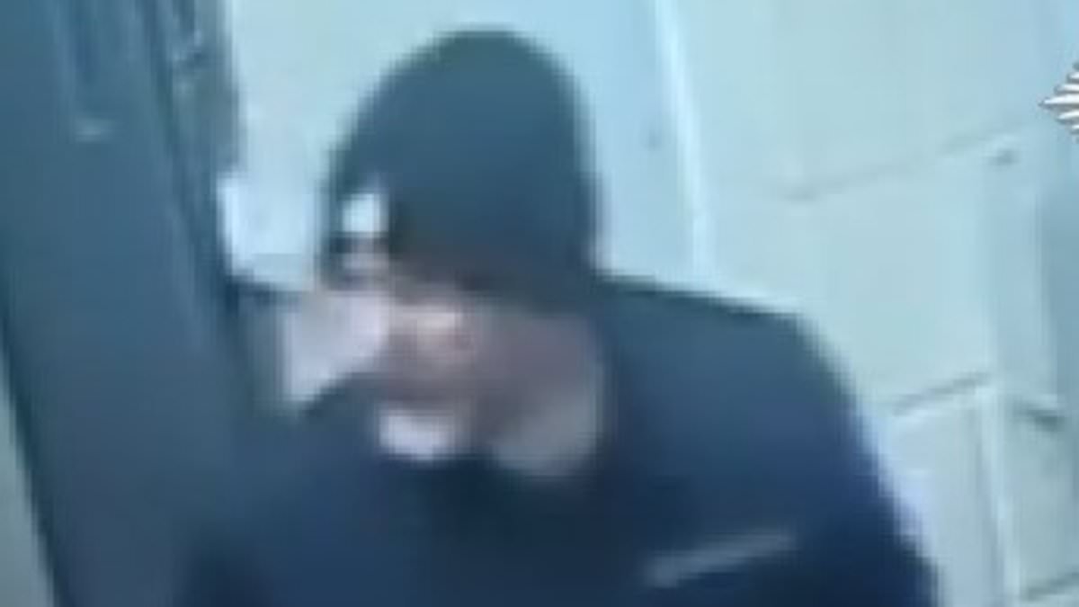 Attempted murderer who has escaped from prison while serving 23-year sentence is arrested - after pictures showed him sauntering out of jail